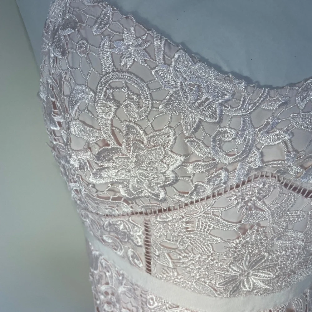 Light Pink Ted Baker Lace Dress - Picture 4 of 4